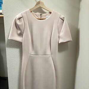 Calvin Klein Dress Light Pink, Size 6